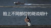臉上不同部位的斑說明什么
