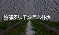臉部皮膚干燥怎么補水 教你五個小妙招