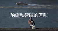腦癱和智障的區(qū)別