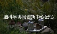 腦科學(xué)協(xié)同創(chuàng)新中心記憶再鞏固機制研究取得新突破