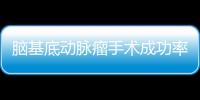 腦基底動脈瘤手術成功率（動脈瘤手術成功率）