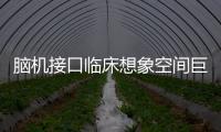 腦機接口臨床想象空間巨大，但切莫神化—新聞—科學網