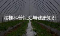 腦梗科普視頻與健康知識大講堂治療腦梗的原因