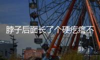 脖子后面長(zhǎng)了個(gè)硬疙瘩不痛不癢（脖子后面長(zhǎng)了個(gè)硬疙瘩）