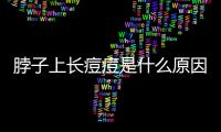 脖子上長痘痘是什么原因及如何有效預(yù)防