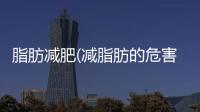 脂肪減肥(減脂肪的危害)