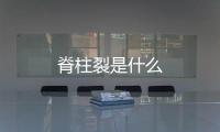 脊柱裂是什么