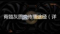 脊髓灰質炎傳播途徑（詳細解析脊髓灰質炎的感染路徑）