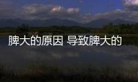 脾大的原因 導致脾大的因素有這些