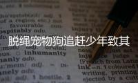 脫繩寵物狗追趕少年致其車禍截肢 犬主被判賠償15萬