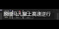 脫韁馬兒竄上高速逆行 事發(fā)莆永高速莆田段