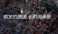 脫發的原因 長時間承受壓力會出現這個問題