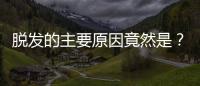 脫發(fā)的主要原因竟然是？