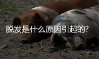 脫發(fā)是什么原因引起的?脫發(fā)吃什么食物?