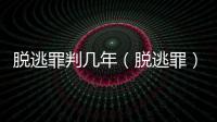脫逃罪判幾年（脫逃罪）