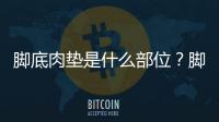 腳底肉墊是什么部位？腳底的肉墊