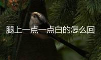 腿上一點一點白的怎么回事(腿上掉皮怎么回事)