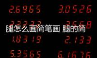 腿怎么畫簡筆畫 腿的簡筆畫法