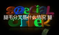 腿毛分叉是什么情況 腿毛漂白有副作用嗎