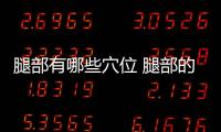 腿部有哪些穴位 腿部的按摩手法
