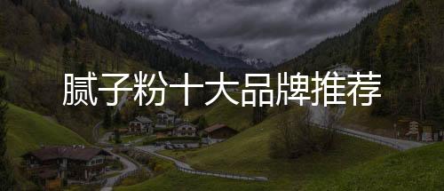 膩子粉十大品牌推薦