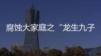 腐蝕大家庭之“龍生九子” – 材料牛