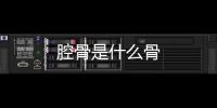 腔骨是什么骨