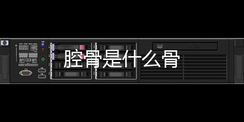 腔骨是什么骨