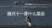 臘月十一是什么星座