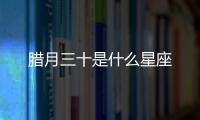 臘月三十是什么星座