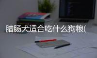 臘腸犬適合吃什么狗糧(臘腸犬吃什么牌子的狗糧好)