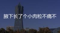 腋下長了個小肉粒不痛不癢（腋下長了個小肉粒）