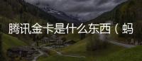 騰訊金卡是什么東西（螞蟻金卡是什么）