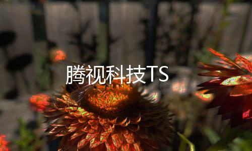 騰視科技TS