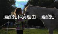 腰酸婦科病理由，腰酸婦科病診斷有哪些