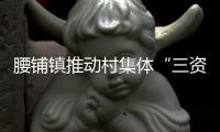 腰鋪鎮推動村集體“三資”規范管理_