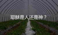 耶穌是人還是神？