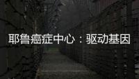 耶魯癌癥中心：驅動基因陰性NSCLC 一線免疫治療怎么選？
