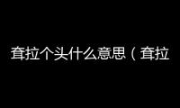 耷拉個頭什么意思（耷拉著腦袋什么意思）
