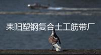 耒陽塑鋼復合土工筋帶廠家