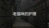 老貓咪的護理