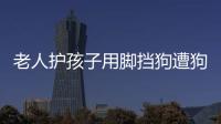 老人護孩子用腳擋狗遭狗主人鎖喉推倒 毫不講理??！