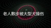 老人散步被大型犬撞傷  責任誰負責