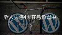 老人失蹤4天在鱷魚胃中發現遺骸
