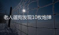 老人遛狗發(fā)現(xiàn)10枚炮彈 老兵稱或是戰(zhàn)爭(zhēng)遺留物