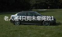 老人遛4只狗未牽繩致10歲男童被咬傷，法院判了