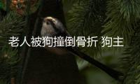 老人被狗撞倒骨折 狗主人謊稱幫忙叫車卻溜走