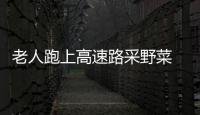 老人跑上高速路采野菜 黔西南高速交警及時勸離