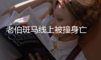 老伯斑馬線上被撞身亡 騎車過街要擔(dān)責(zé)