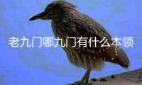 老九門哪九門有什么本領(lǐng)（老九門哪九門）